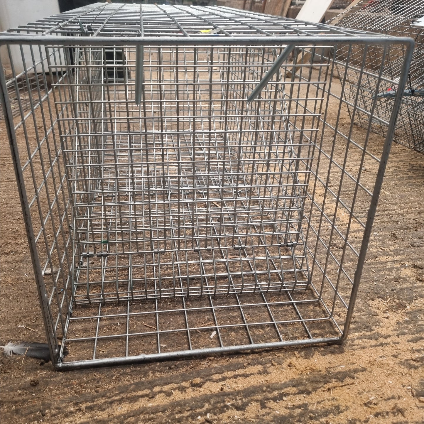 Fox Trap