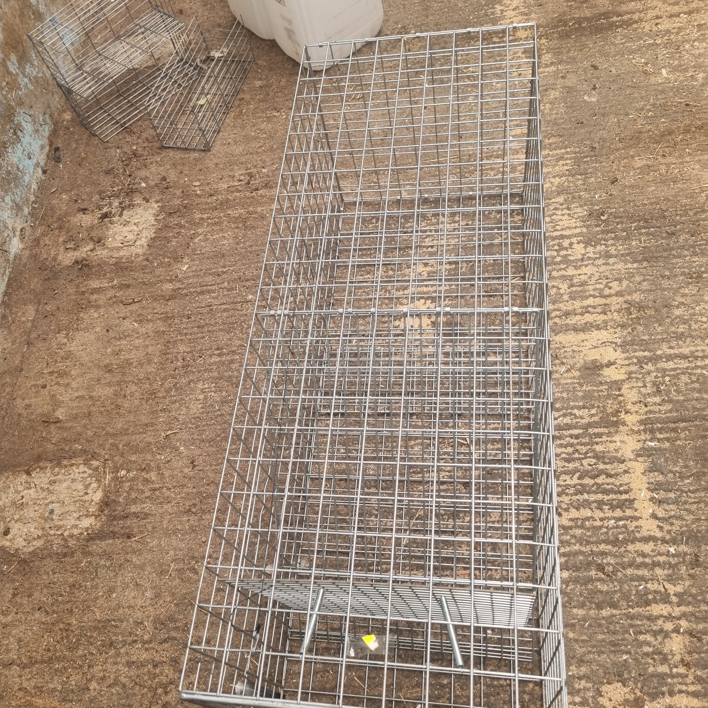Fox Trap