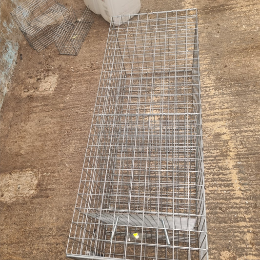 Fox Trap
