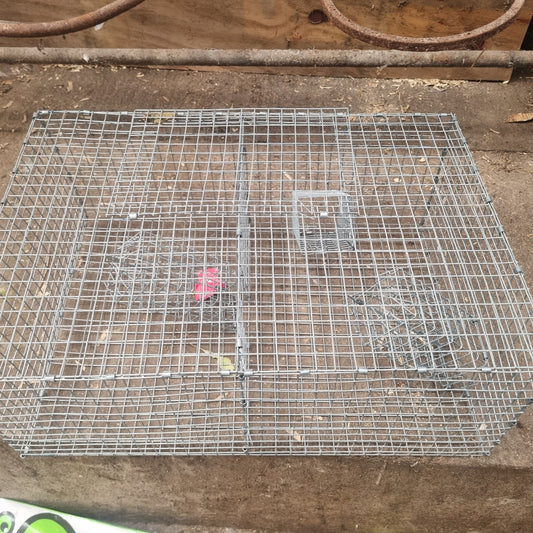 Live Multi-Catch Rat Trap