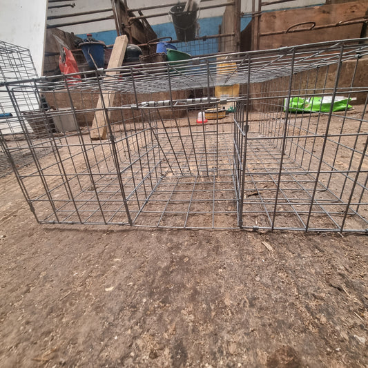 Live Bird Catcher