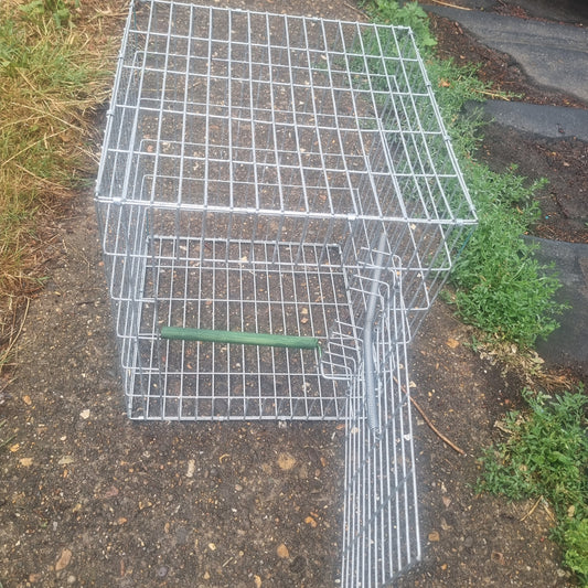 Larsen mate trap